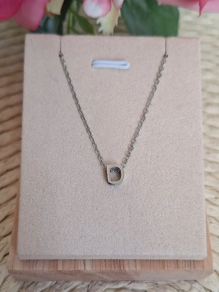 Collar de acero Inicial D 