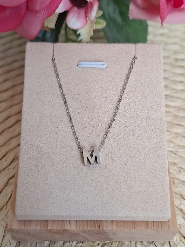Collar de acero Inicial M