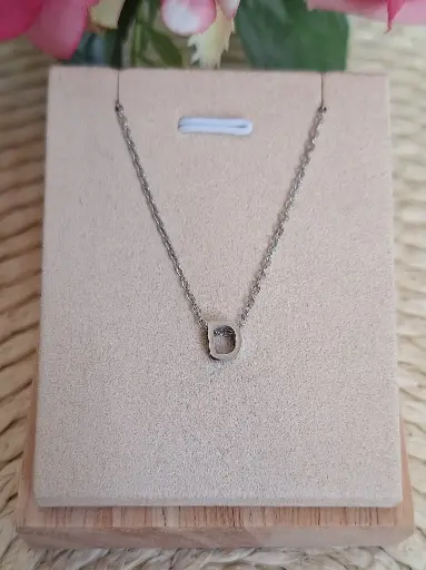 Collar de acero Inicial D 